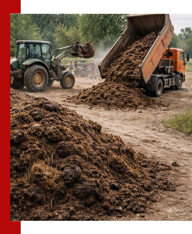 Доставка навоза самосвалами в Сызрани для сельхозпотребностей