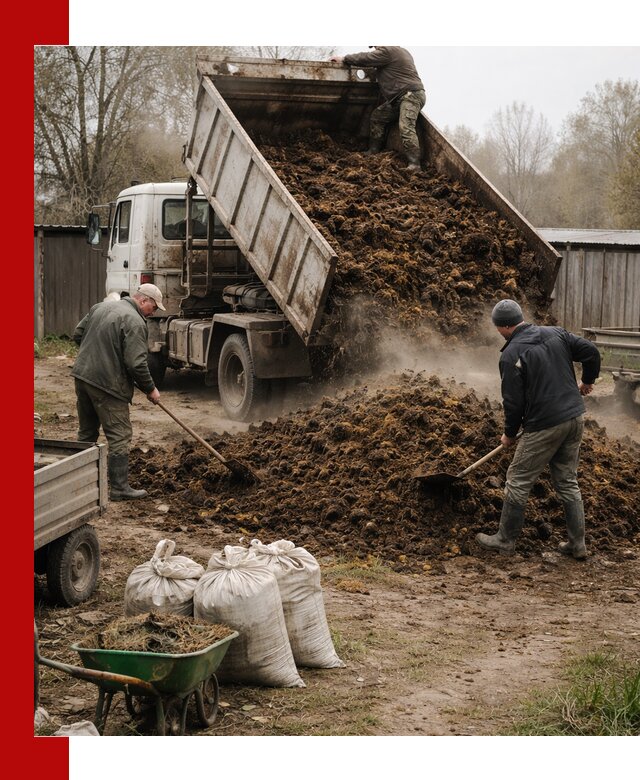 Доставка коровьего навоза самосвалом в Сызрани